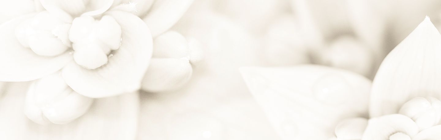 Just another WordPress site